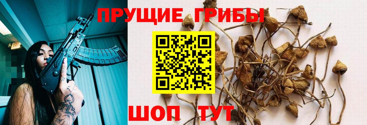 Полевской  Псилоцибиновые грибы мухоморы  Вход с VPN 